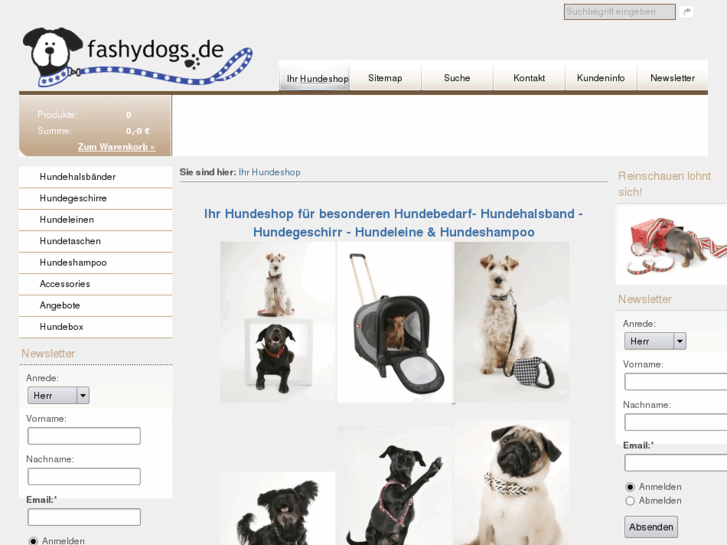 www.hundehalsband.info