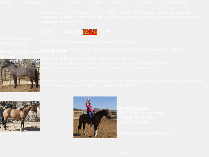 www.shulmanqtrhorses.com