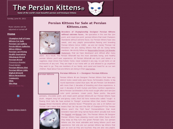 www.thepersiankittens.net