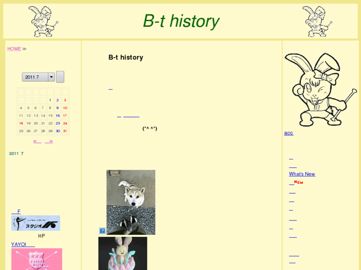 www.b-t-history.com