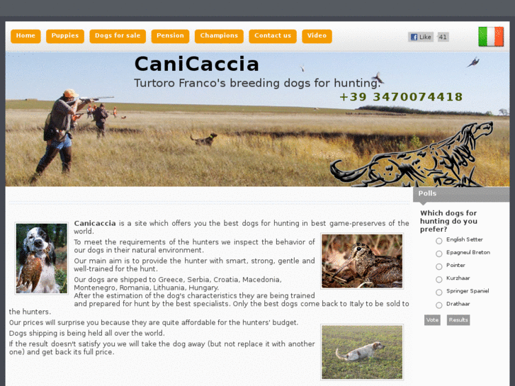 www.canicaccia.com