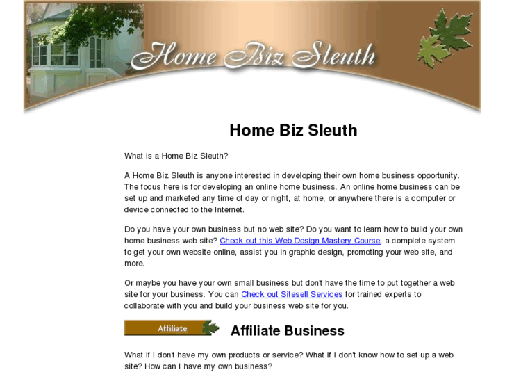 www.online-home-business-sleuth.com