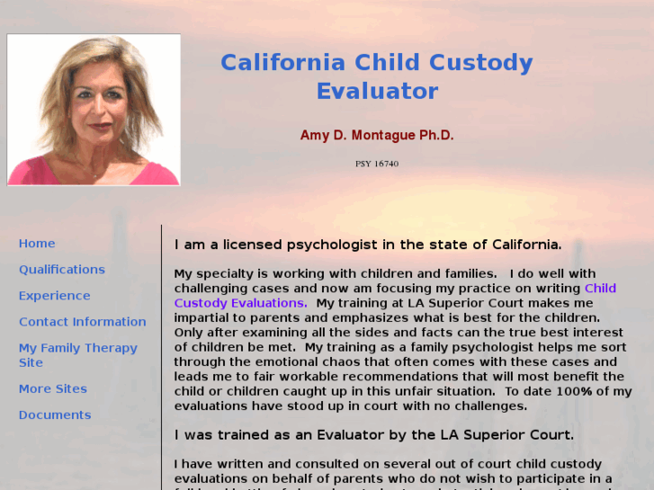 www.childcustodyeval.com