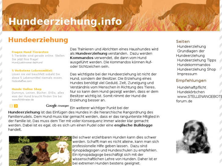 www.hundeerziehung.info