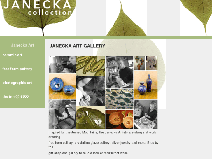 www.janecka-art-gallery.com