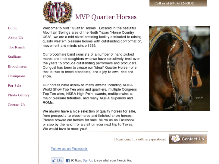 www.mvpquarterhorses.com