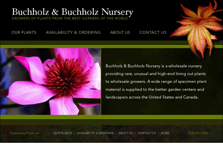 www.buchholznursery.com