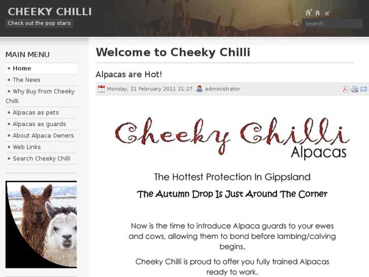 www.cheeky-chilli.com