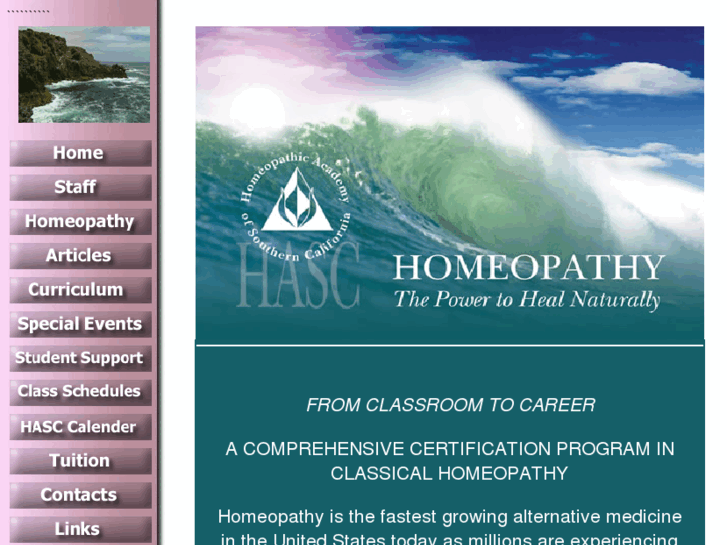 www.homeopathic-academy.com