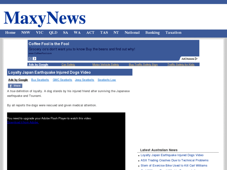 www.maxynews.com