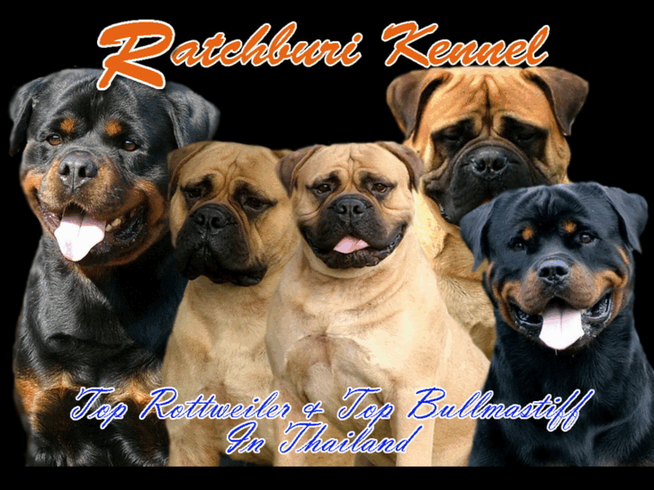 www.ratchburikennel.com