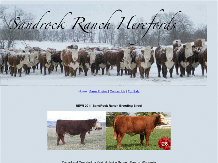 www.sandrockranchherefords.com