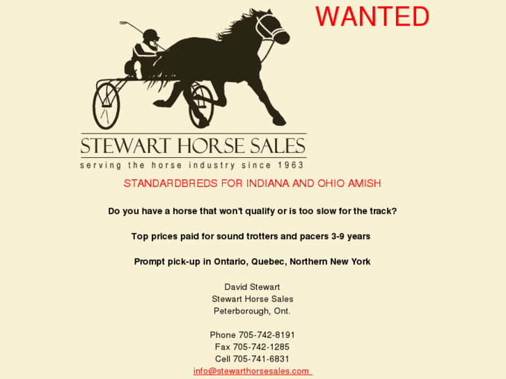 www.stewarthorsesales.com