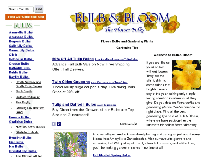 www.bulbandbloom.com