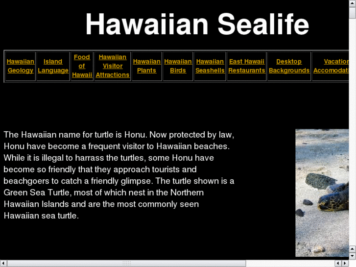 www.hawaiianmarinelife.com