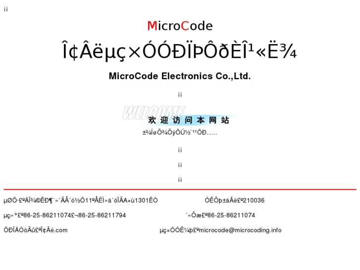 www.microcoding.info