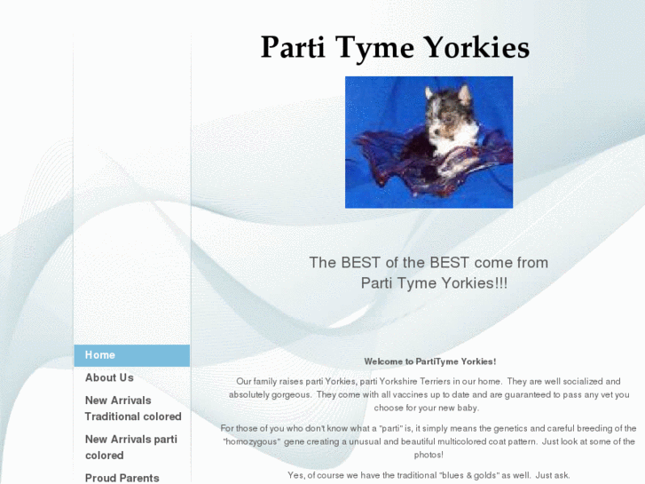 www.partitymeyorkies.com