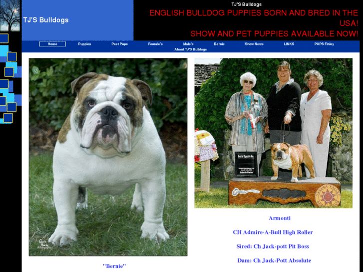 www.tjsbulldogs.net