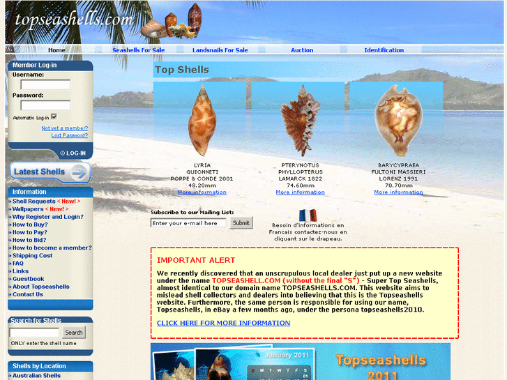 www.top-seashells.com