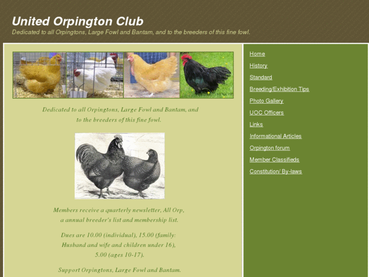 www.unitedorpingtonclub.com