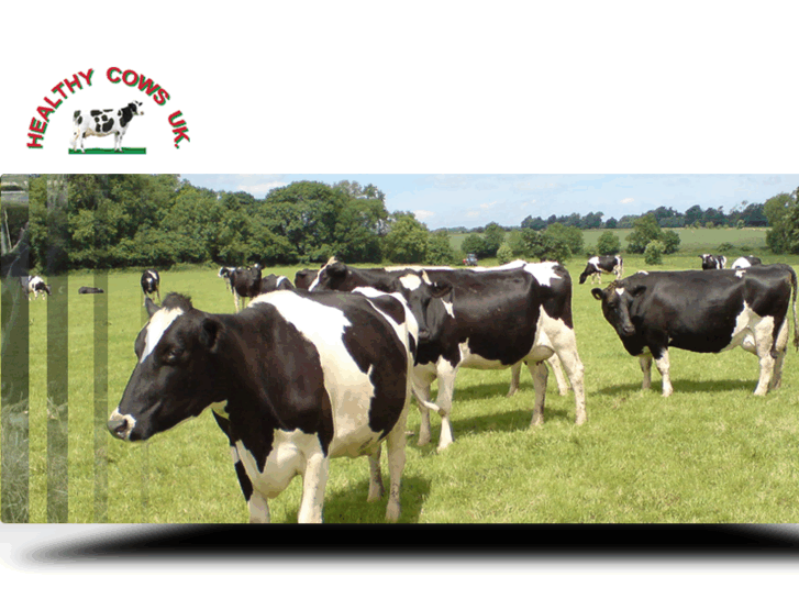 www.healthycows.co.uk