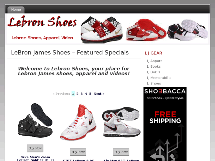 www.lebronshoes.net