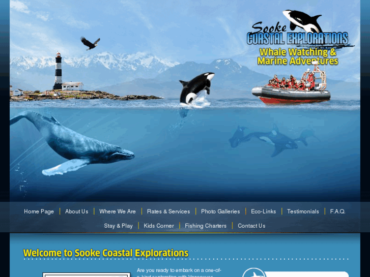 www.sookewhalewatching.com