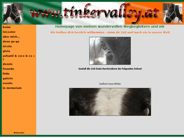 www.tinkervalley.at