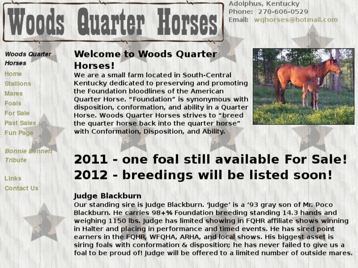 www.woodsquarterhorses.com