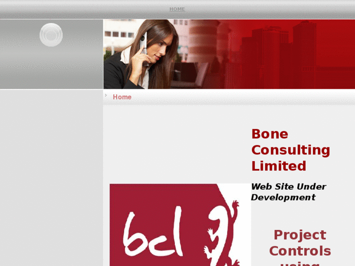 www.boneconsultingltd.com