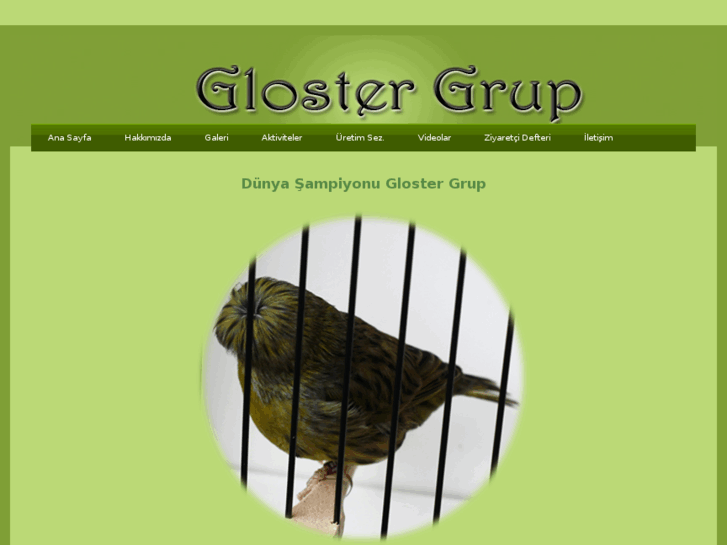 www.glostergrup.com