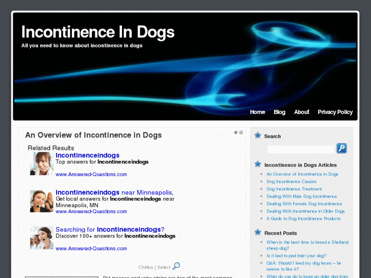 www.incontinenceindogs.com