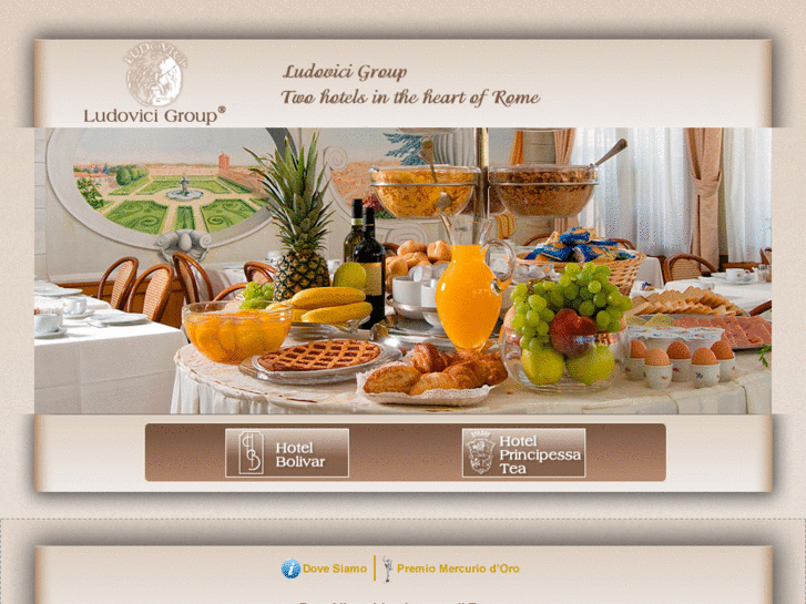 www.ludovicigroup.eu