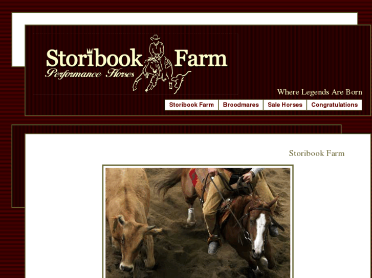 www.storibookfarm.com