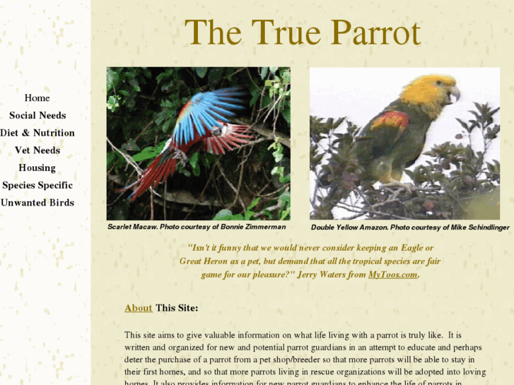 www.thetrueparrot.com