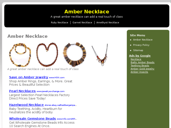 www.ambernecklace.org