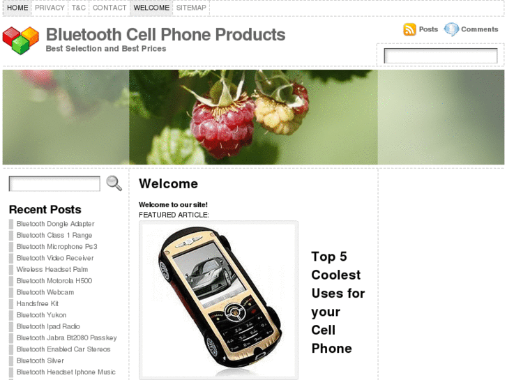 www.bluetoothcellphonestore.info