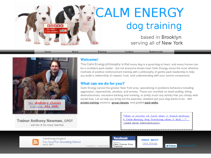 www.calmenergydogtraining.com