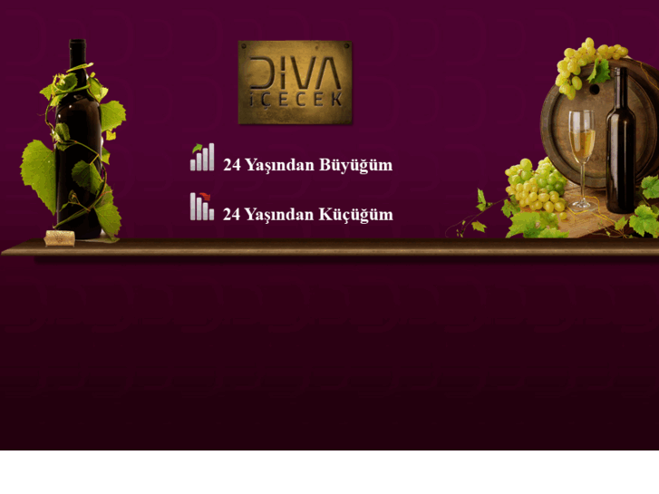 www.divaicecek.com