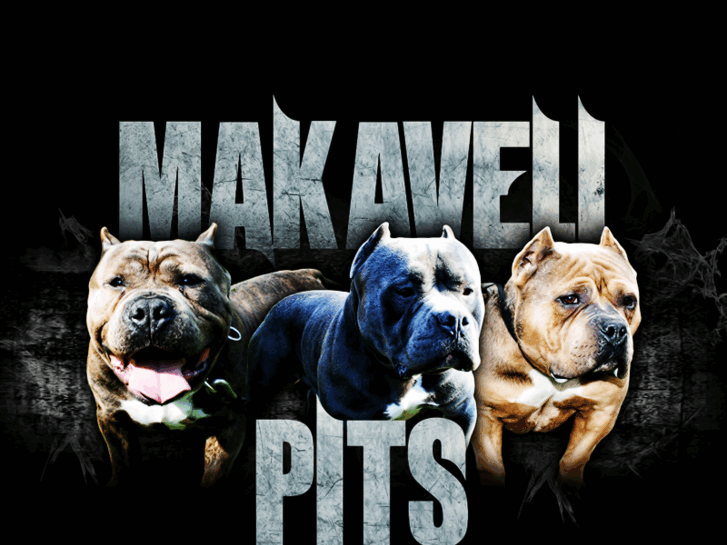 www.makavelipits.com