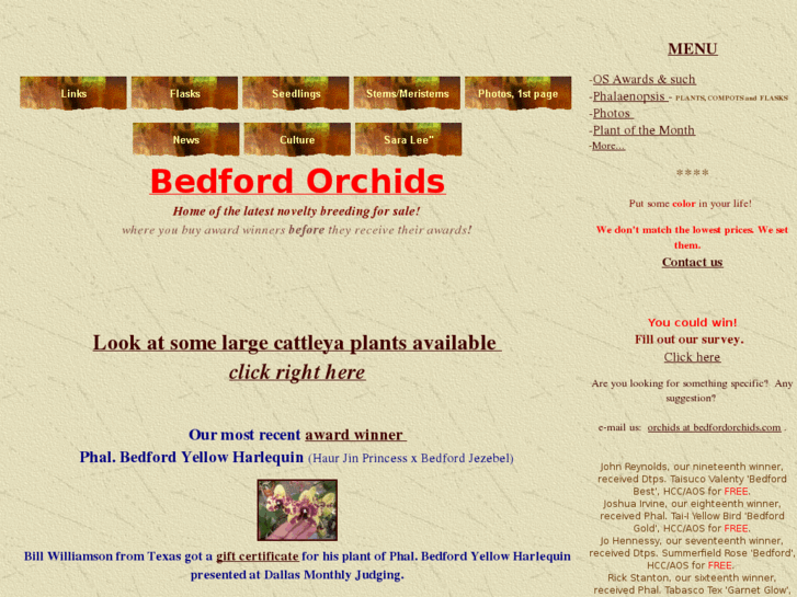 www.bedfordorchids.com