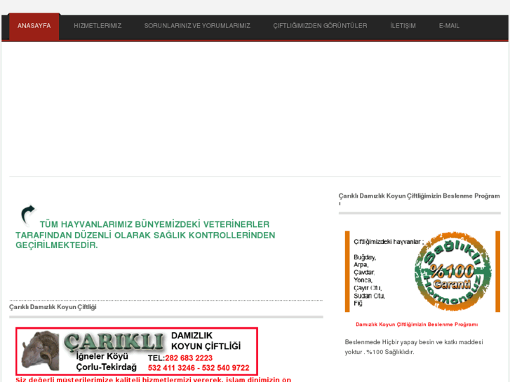 www.carikli.com