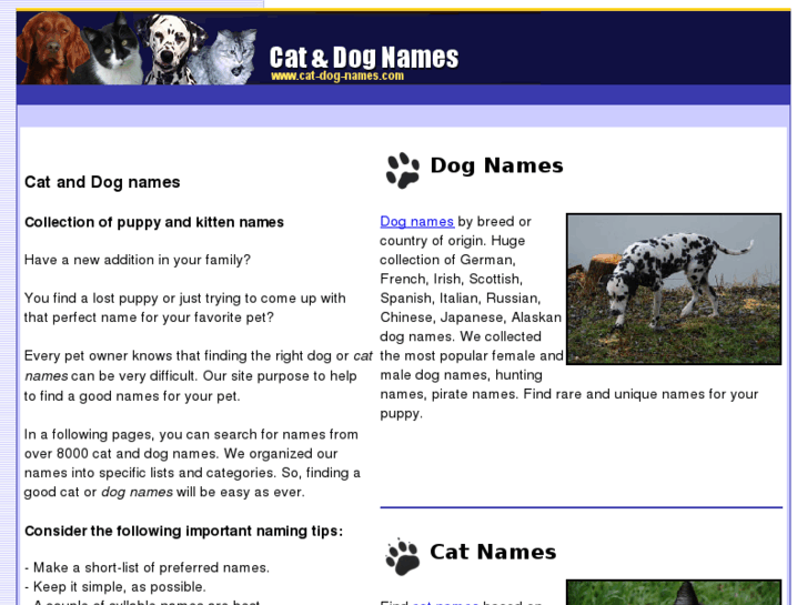 www.cat-dog-names.com