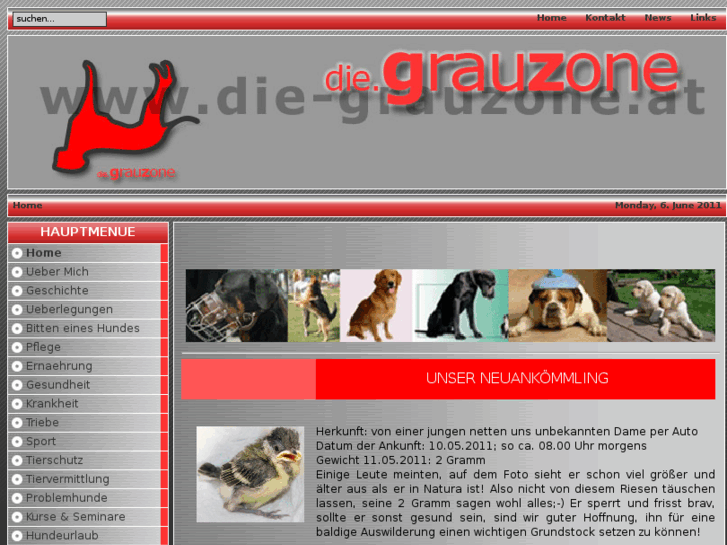 www.die-grauzone.at