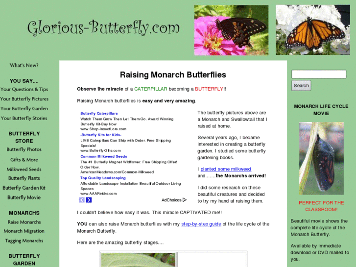 www.glorious-butterfly.com