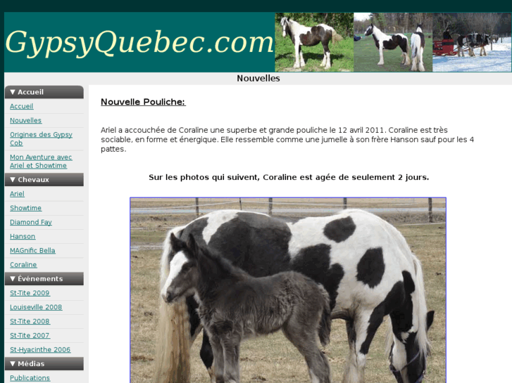 www.gypsyquebec.com