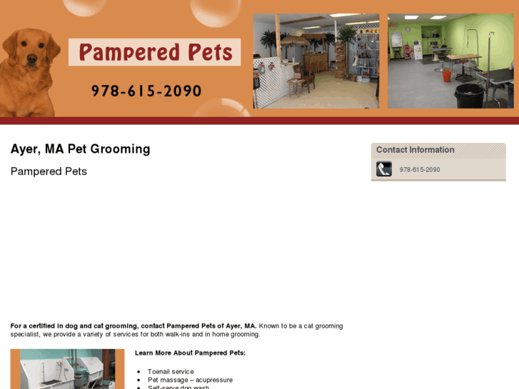 www.pamperedpets-ma.com