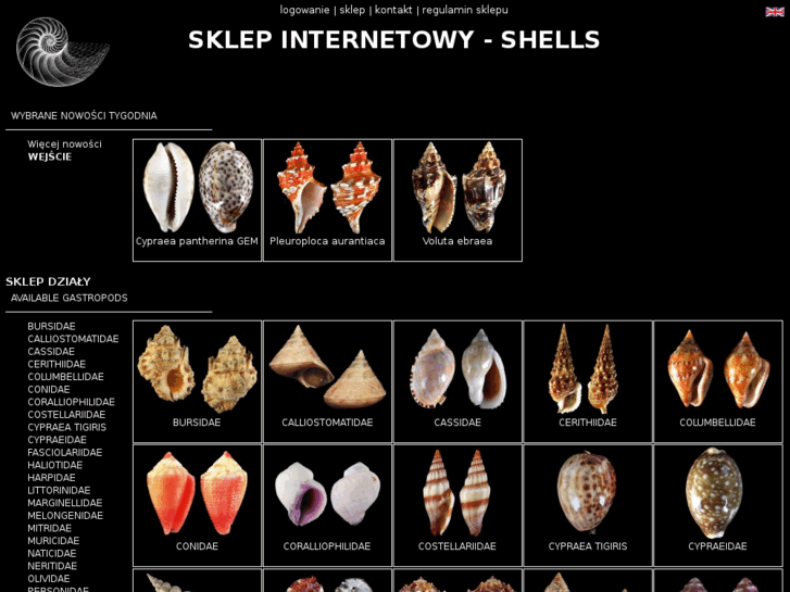 www.shells.com.pl