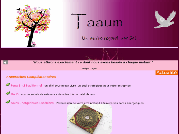 www.taaum.com