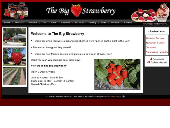 www.thebigstrawberry.com